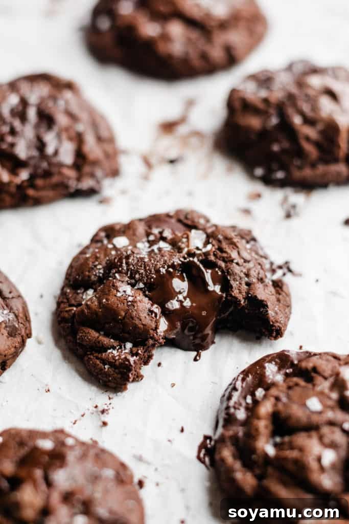 Triple Chocolate Chunk Cookies - World, meet Triple Chocolate Chunk Cookies! Ultra fudgy, with crackly tops - and three kinds of chocolate chunks! We're mixing semi-sweet, milk, and dark chocolate to make the richest possible chocolate cookie. Sprinkle some flaky sea salt over those melted pools of chocolate and dive in to dessert heaven! #chocolatecookies #cookierecipes #dessertrecipes #cookies #chocolaterecipes #chocolatedesserts #bluebowlrecipes | bluebowlrecipes.com A perfectly baked triple chocolate cookie, with a bite taken out, showing the melted chocolate chunks and a sprinkle of flaky sea salt on top.