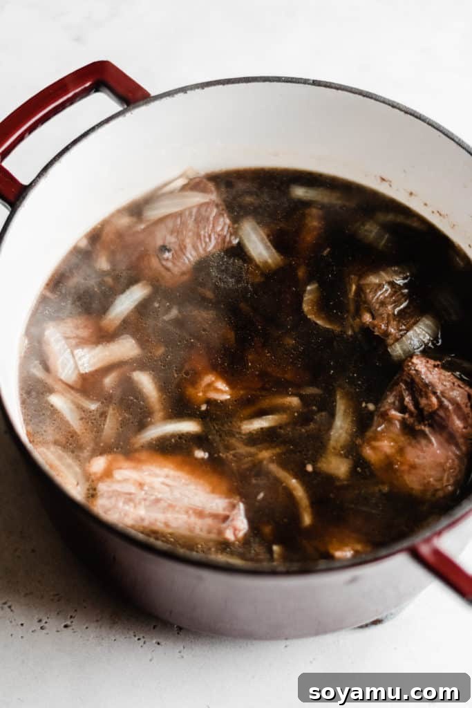 Short Ribs Braising in a Dutch Oven. Short ribs simmering in a rich beef and beer broth within a large Dutch oven, ready for oven braising.
