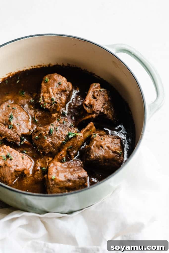 Beer Braised Short Ribs in Velvety Sauce. Perfectly cooked short ribs resting in their rich, reduced sauce in a Dutch oven, ready to be served.