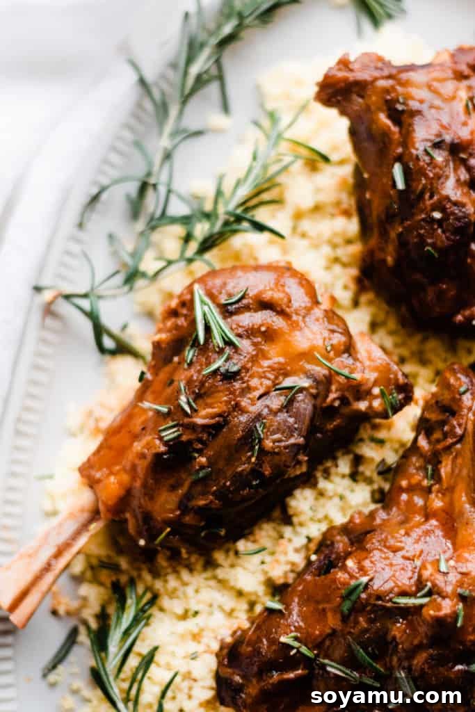 Serving suggestion: Red Wine Braised Lamb Shanks with couscous Close-up of a plate with Red Wine Braised Lamb Shanks and couscous, garnished with herbs