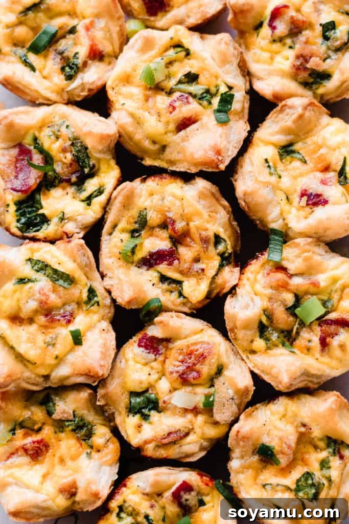 Mini Quiche Cups with Spinach, Bacon, and Cheddar - Made with store-bought puff pastry, filled with a delicious smoky, flavorful mixture of gruyere and cheddar cheese, spinach, bacon, eggs, and milk. Perfect for Easter brunch. #easterrecipes #brunchrecipes #quiche #breakfastrecipes #brunch #easterbrunch #spinachquiche #bacon #miniquiche Rows of golden-brown baked mini quiche cups, featuring flaky puff pastry and savory filling.