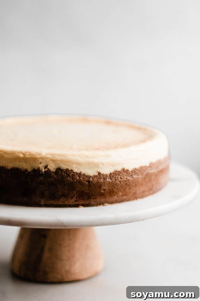 Baked Cheesecake Cooling A freshly baked cheesecake, cooled and removed from the water bath, resting on a stand without any topping, showcasing its smooth, crack-free surface.