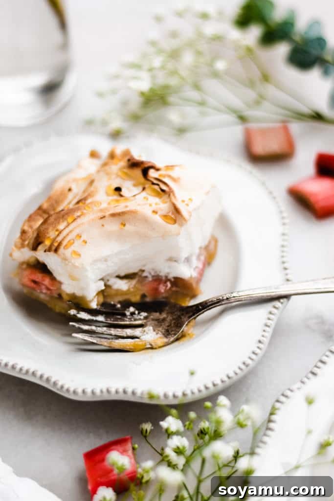 Rhubarb Crumble Cake 3 A whole Old-Fashioned Rhubarb Torte in a baking dish, with a light golden brown meringue topping, ready to be served. Ideal for springtime gatherings.