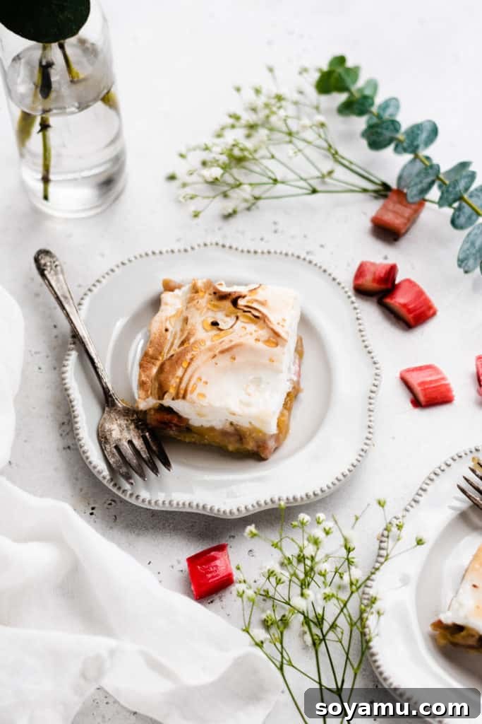 Rhubarb Crumble Cake 9 A perfectly portioned slice of Old-Fashioned Rhubarb Torte on a white plate, ready to be enjoyed. The layers are clearly visible and appetizing.