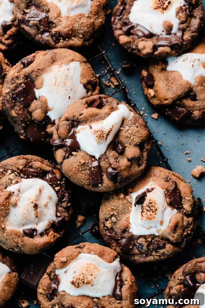 Marshmallow Stuffed S'mores Cookies 2 Marshmallow stuffed s'mores chocolate chip cookies on a wire rack, on a blue background.