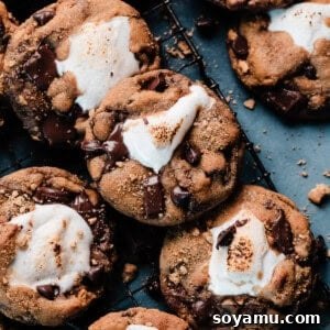 Marshmallow Stuffed S'mores Cookies 11 S'mores Cookies (Marshmallow Stuffed!)