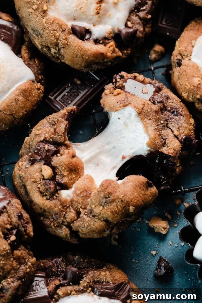 Marshmallow Stuffed S'mores Cookies 8 A s'mores cookie being pulled apart, with the gooey marshmallow stretching as the cookie breaks.