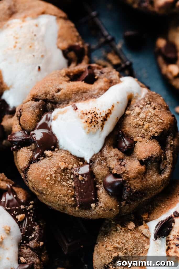 Marshmallow Stuffed S'mores Cookies 9 A close-up on a s'mores cookie, with a gooey pocket of marshmallow oozing out of the center.