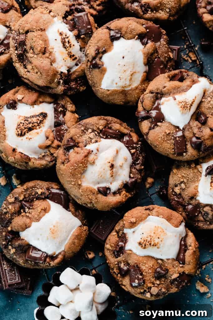Marshmallow Stuffed S'mores Cookies 10 Golden brown s'mores cookies on a vintage cooling rack.