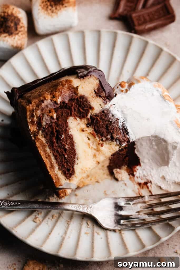 Decadent S'mores Cheesecakes with Golden Marshmallow Meringue 13 A bird's eye view of a slice of the cheesecake on a plate, with a few bites missing.