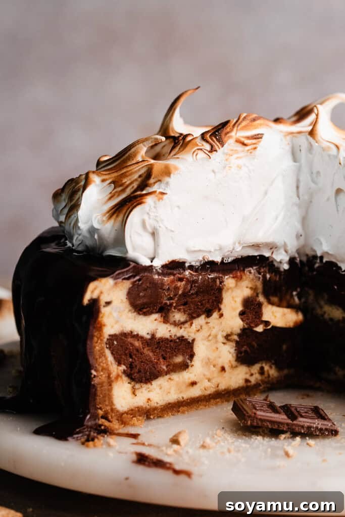 Decadent S'mores Cheesecakes with Golden Marshmallow Meringue 14 A close-up on a cross section of the inside of the cheesecake.
