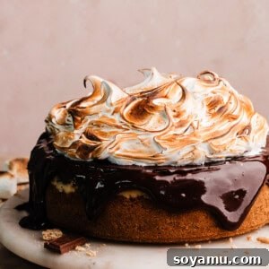 Delicious S'mores Cheesecake with Toasted Marshmallow Meringue