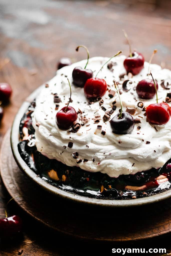 A complete No-Bake Black Forest Pie, generously adorned with a mountain of whipped cream and fresh bright red cherries, resting on an antique wooden surface, ready to be served.