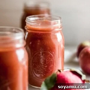 Jars of homemade applesauce.