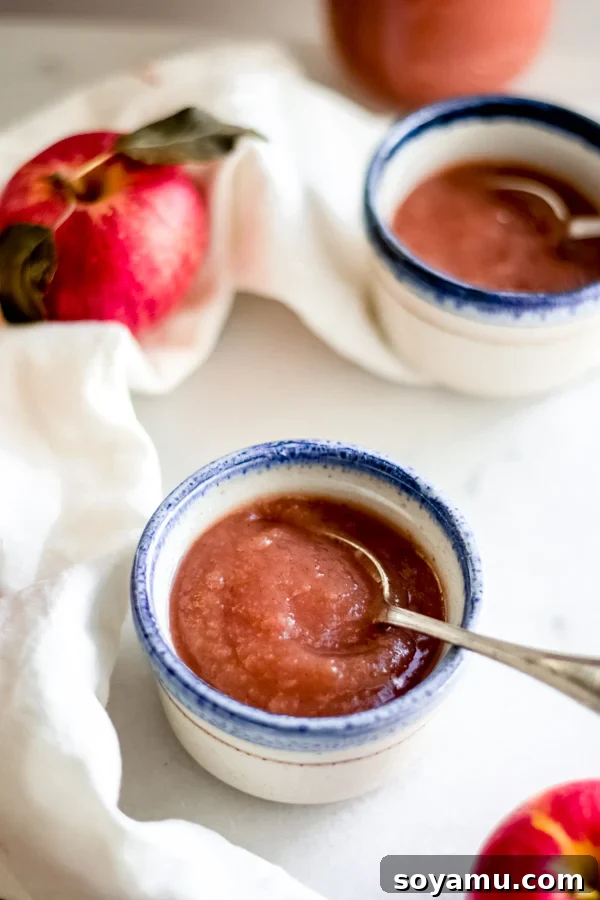 Small bowls filled with homemade applesauce, garnished with cinnamon stick and star anise.