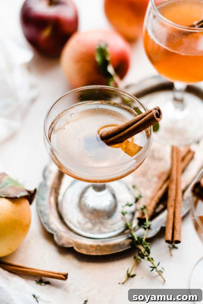 Maple Crisp Old Fashioned 4 A mesmerizing close-up of a single Apple Cider Old Fashioned, elegantly presented in a stemmed glass with a full cinnamon stick, highlighting its inviting amber color and sophisticated allure.