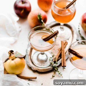 A beautifully crafted Apple Cider Old Fashioned cocktail.
