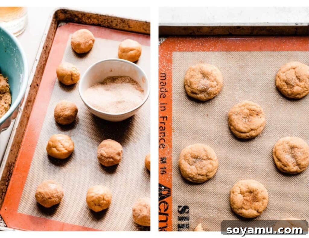 Freshly baked pumpkin snickerdoodles cooling on a wire rack, sprinkled with cinnamon sugar