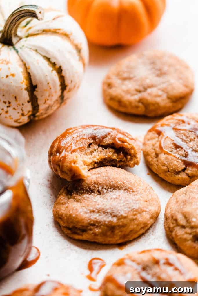 A close-up of a pumpkin snickerdoodle with a bite taken out, showing its soft interior, drizzled with caramel sauce and surrounded by mini pumpkins