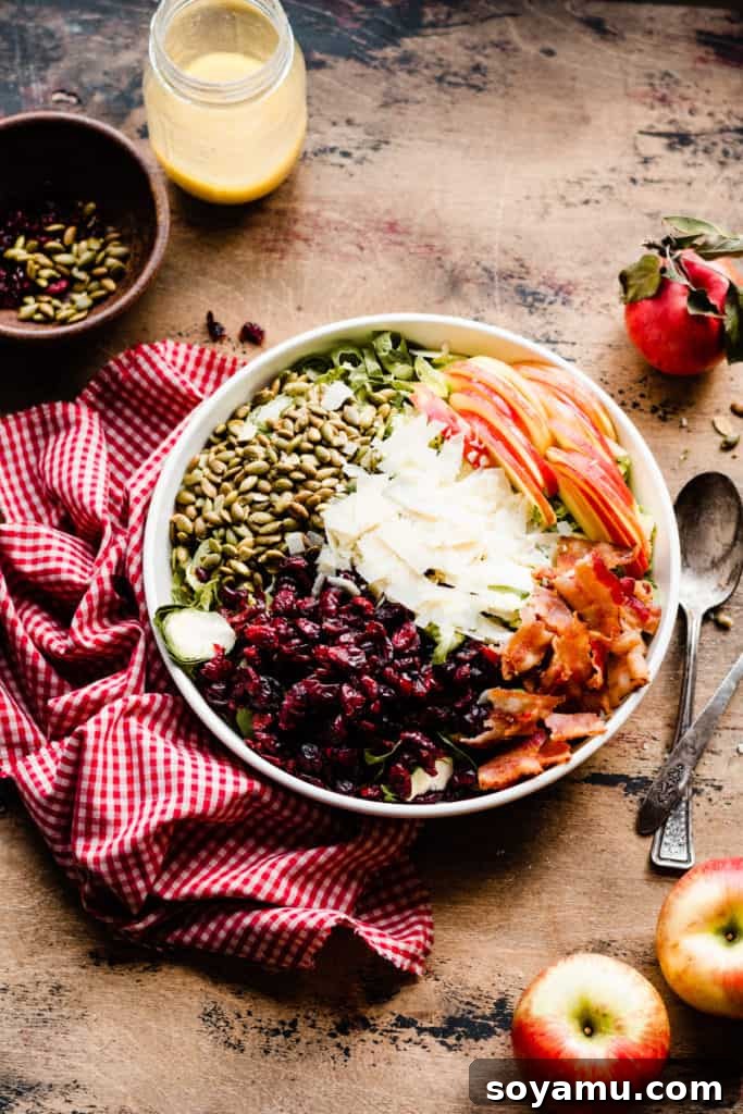 Maple Drizzled Brussels Sprout Salad 3 A pre-tossed medley of Brussels sprouts salad ingredients, showcasing freshly shredded Brussels sprouts, diced Honeycrisp apples, vibrant dried cranberries, roasted pepitas, crispy bacon, and grated Parmesan cheese, all artfully arranged in a large bowl on a wooden surface with a red and white checkered linen. This image captures the freshness and diverse textures before the maple dressing unifies the flavors.