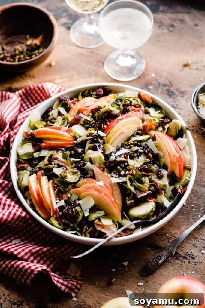 Maple Drizzled Brussels Sprout Salad 5 A full bowl of the finished Brussels sprouts salad, perfectly tossed and ready to serve, featuring a delightful blend of shaved Brussels sprouts, Honeycrisp apples, dried cranberries, pepitas, and crispy bacon, all generously coated in a sweet and tangy maple dressing. This mouthwatering, easy-to-make salad is ideal for fall gatherings and Thanksgiving feasts.