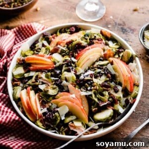 Maple Drizzled Brussels Sprout Salad 6 A square image of the Brussels Sprouts Salad with Maple Dressing, showcasing the rich colors and textures of shaved Brussels sprouts, Honeycrisp apples, dried cranberries, pepitas, and bacon, all coated in the signature maple dressing. This image serves as a visual guide for the recipe.