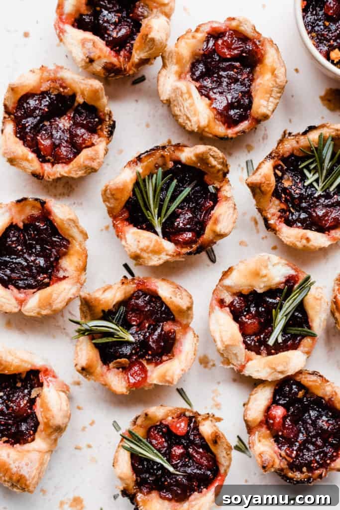 Spiced Rum Cranberry and Gouda Puff Pastry Bites 7 Golden puff pastry bites, freshly baked and garnished with vibrant green fresh rosemary sprigs, arranged elegantly on a light surface, ready to be served.