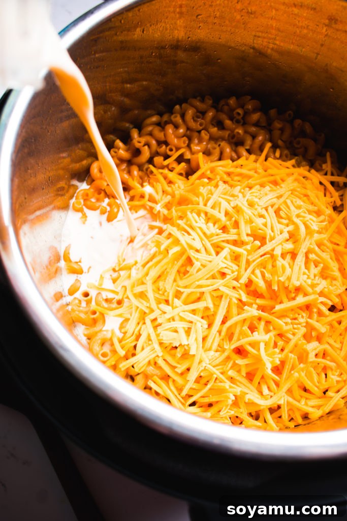 Fast 15-Minute Instant Pot Mac and Cheese Instant Pot Mac and Cheese with a spoon, highlighting the creamy texture.