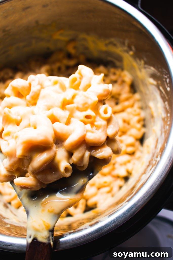 Delicious One-Pot Instant Pot Macaroni and Cheese A serving of homemade creamy Instant Pot Mac and Cheese.