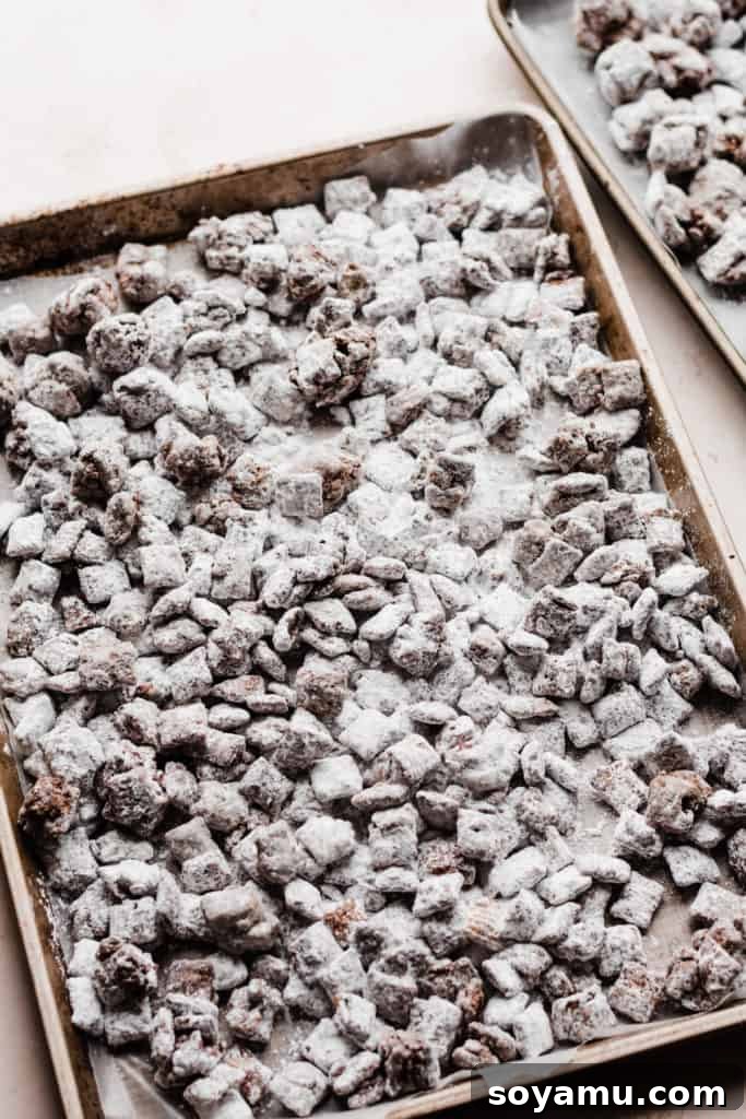 Two baking sheets generously filled with freshly made Puppy Chow (Muddy Buddies) laid out to set, showcasing a large, enticing batch of the sweet, crunchy, and powdered sugar-dusted treat, ready to cool and firm up.
