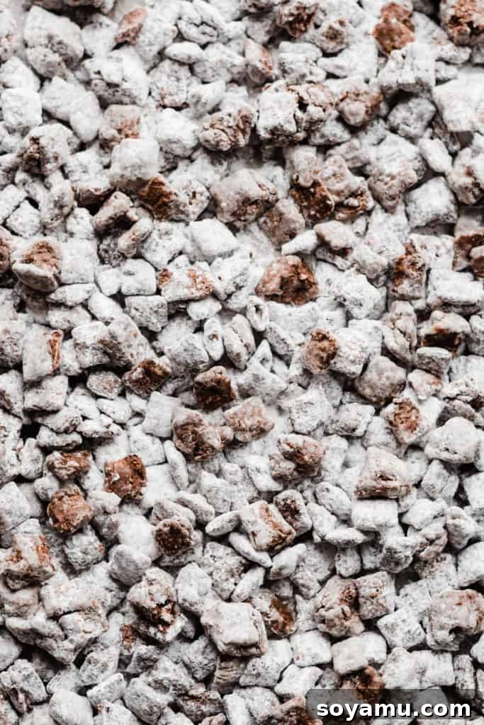 A detailed close-up view of a baking sheet laden with perfectly prepared, powdered sugar-dusted Muddy Buddies, showcasing the ideal texture and flawless, even coating of this irresistible no-bake treat. Each piece is distinct and beautifully powdered.