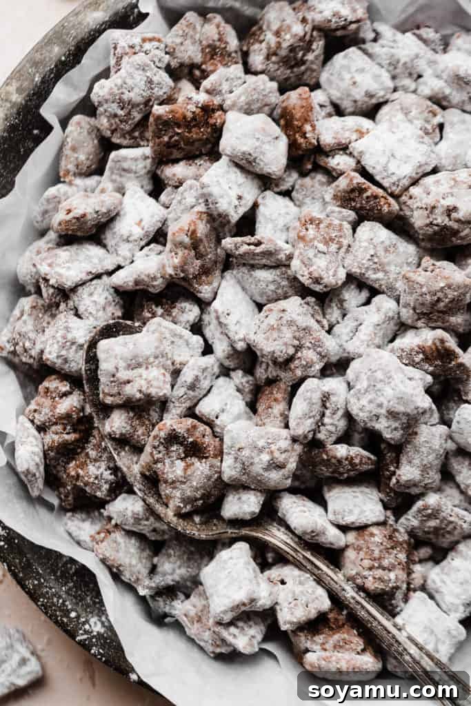A detailed close-up shot of a spoon gently scooping a portion of Puppy Chow from a bowl, highlighting the perfectly coated cereal pieces and their irresistible texture, ready for a delicious bite.