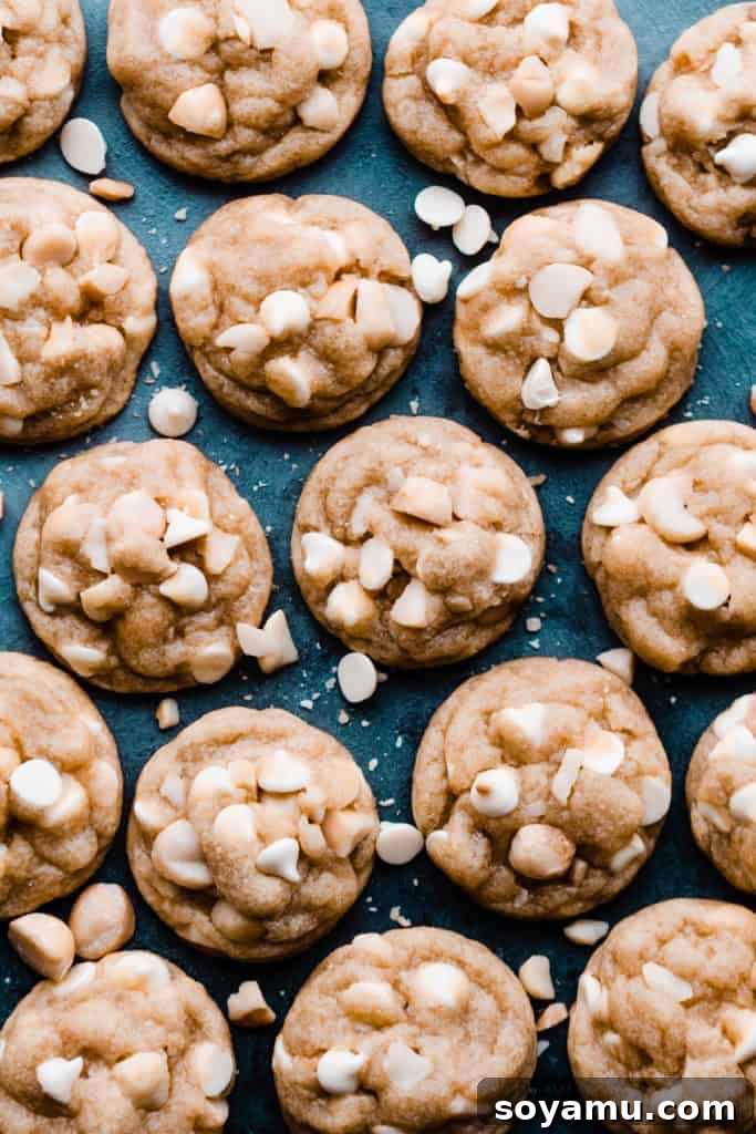 Freshly baked white chocolate macadamia nut cookies arranged neatly side by side on a serene blue background, showcasing their golden-brown edges and visible white chocolate and nut pieces.