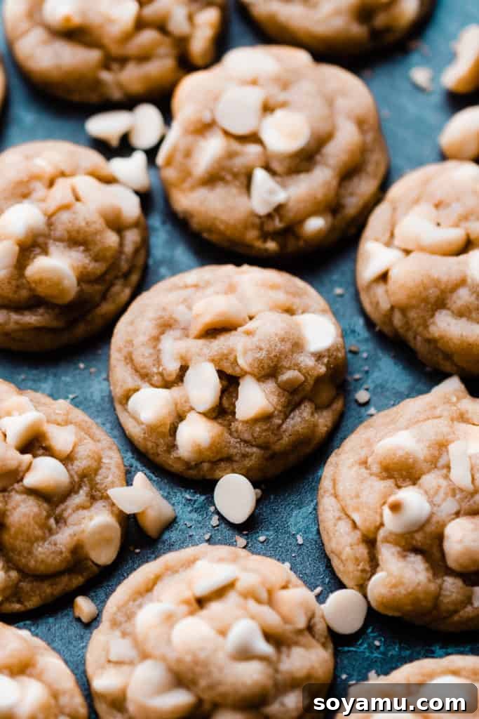 A detailed close-up shot of a single white chocolate macadamia nut cookie, emphasizing its chewy texture, golden brown edges, and the generous scattering of white chocolate chips and macadamia nuts.