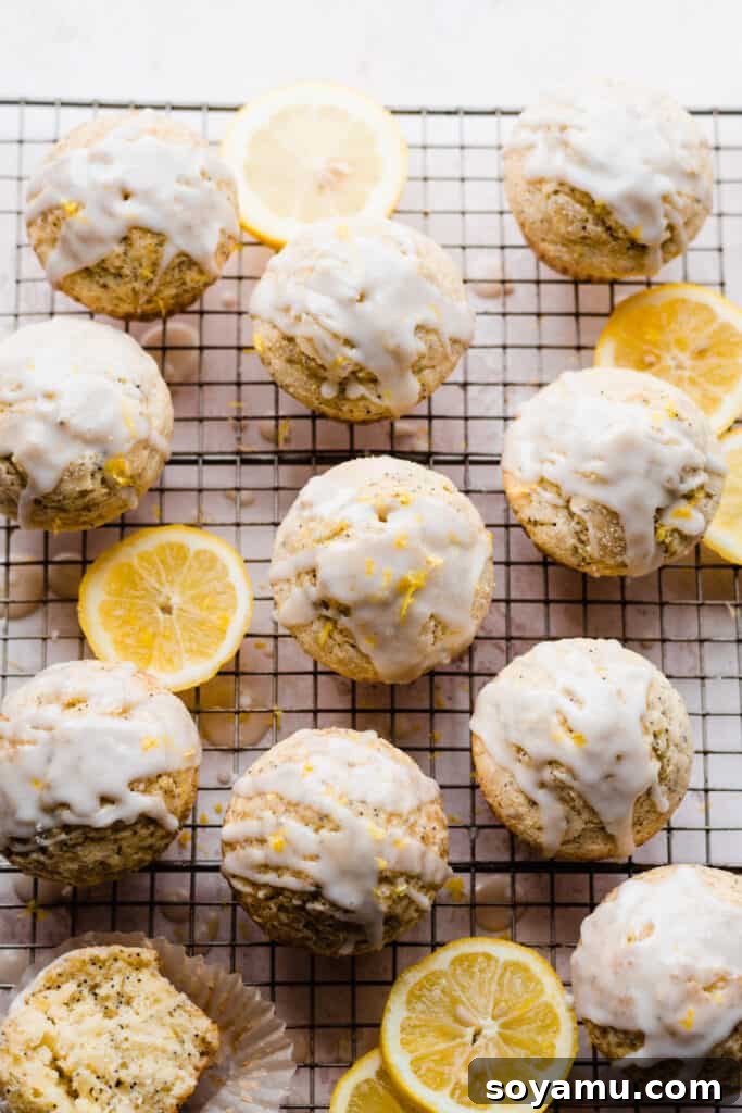 A cooling rack laden with baked lemon poppyseed muffins, each beautifully adorned with a white lemon glaze drizzled over its top.