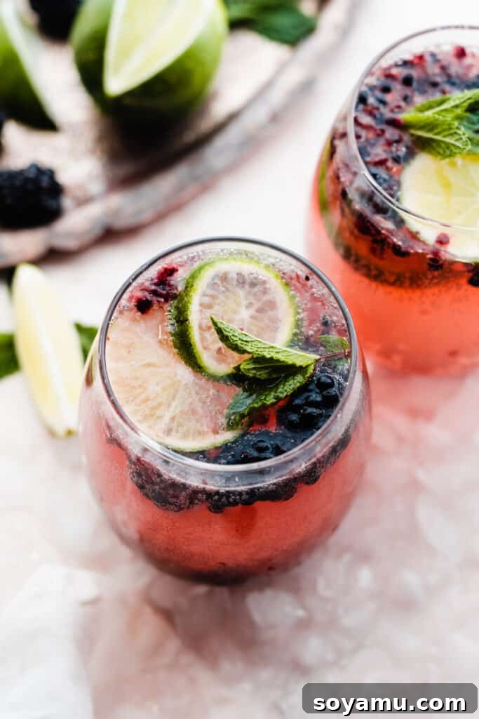Blackberry Lime Fiesta Sangria 2 Close-up of two glasses of sangria topped with lime slices and fresh mint, highlighting the vibrant colors and refreshing garnish.
