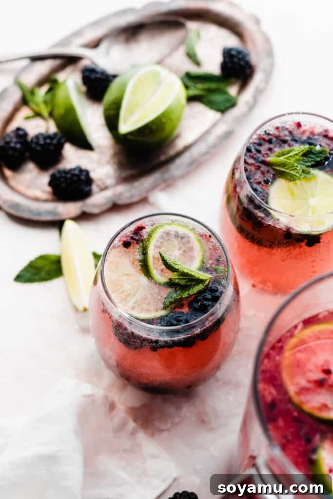Blackberry Lime Fiesta Sangria 7 Two perfectly poured glasses of Blackberry Limeade Sangria, each garnished with fresh lime slices, ready for a refreshing sip.