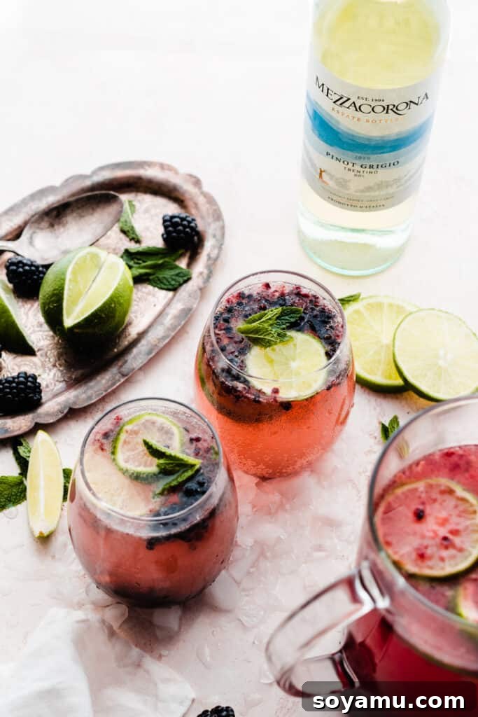 Blackberry Lime Fiesta Sangria 9 A picturesque arrangement featuring two glasses of vibrant sangria, a bottle of Mezzacorona Pinot Grigio, and a large pitcher of the sangria, setting the scene for a delightful gathering.