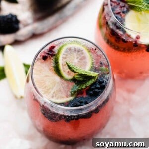 Blackberry Lime Fiesta Sangria 10 A square image depicting the final Blackberry Limeade Sangria, suitable for a recipe card thumbnail.