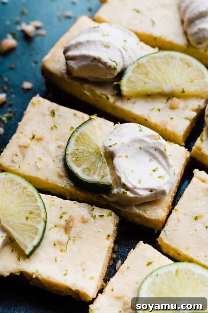 Tropical Key Lime Macadamia Bars 9 Key Lime Pie bars topped with whipped cream, lime slices and lime zest.