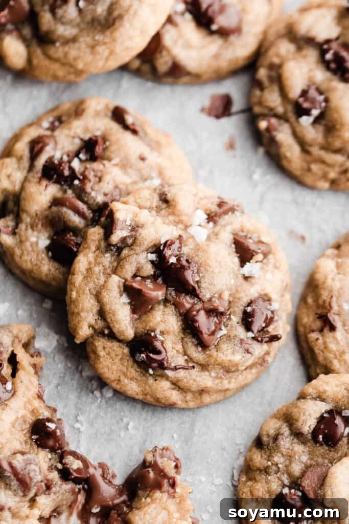 A close-up of baked chocolate chip cookies with perfectly melted chocolate chips, highlighting their appealing texture.