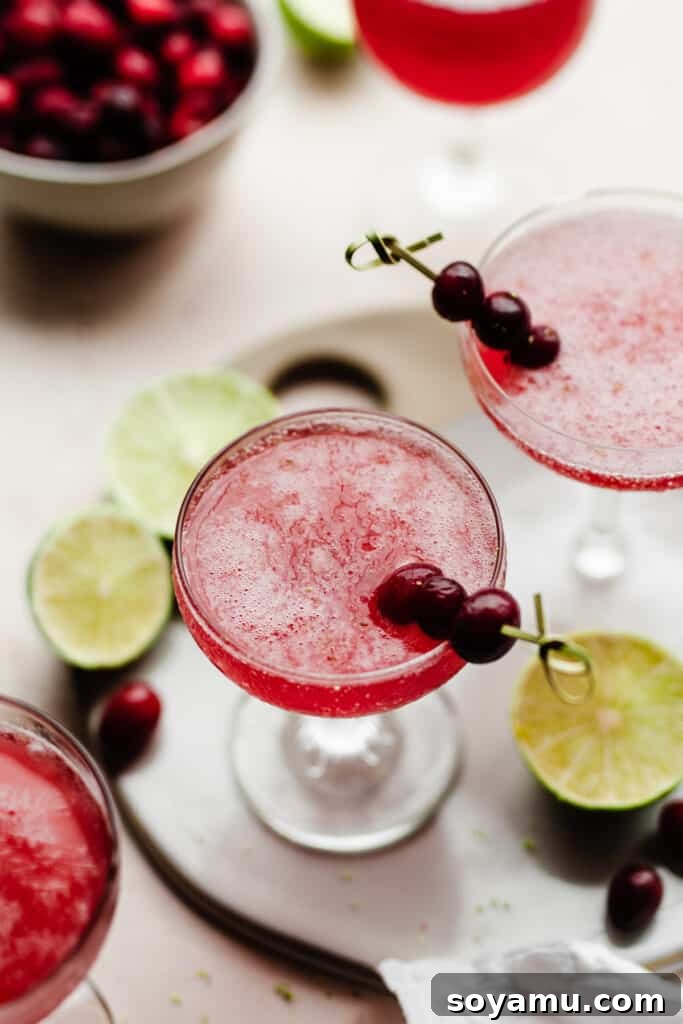 Crimson Frost Daiquiri 3 A close-up shot of a single frozen cranberry daiquiri, featuring a skewer of fresh cranberries and a lime wedge as garnish. Scattered cranberries and lime slices surround the glass.