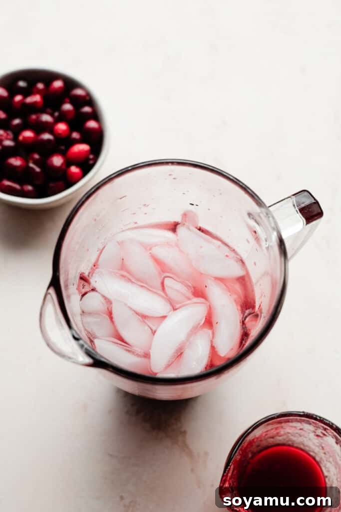 Crimson Frost Daiquiri 8 A blender filled with the ingredients for a frozen cranberry daiquiri: rum, cranberry simple syrup, lime juice, and ice cubes, prior to blending.
