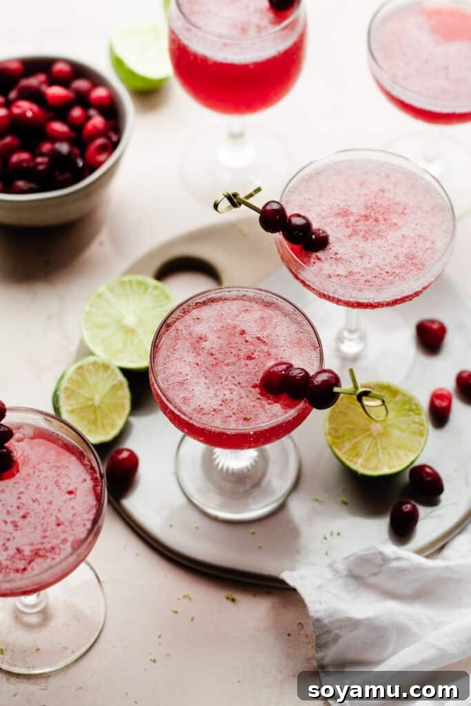 Crimson Frost Daiquiri 10 Five beautifully presented glasses of frozen cranberry daiquiris, garnished with fresh cranberries and lime slices, scattered around with additional berries and lime.