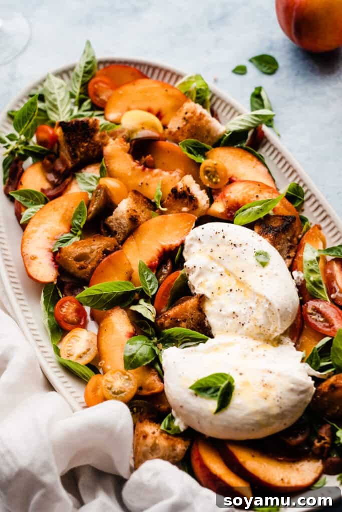 Peach Burrata and Basil Salad 3 A vibrant close-up of the peach burrata panzanella salad on a platter, showcasing the creamy burrata, golden croutons, fresh basil, and juicy tomatoes in detail.