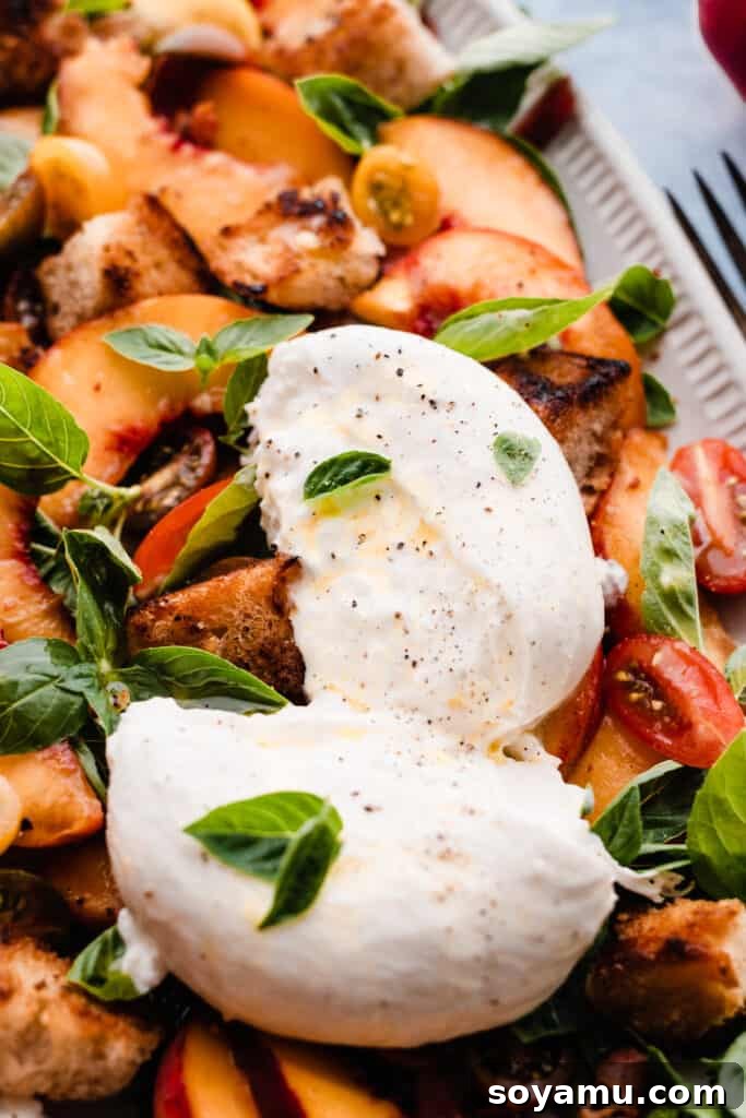 Peach Burrata and Basil Salad 5 A close-up shot highlighting the creamy, delicate burrata cheese on the peach panzanella salad, perfectly nestled among sweet peaches, juicy tomatoes, and vibrant basil.