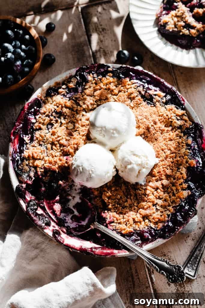 The Ultimate One-Bowl Blueberry Crisp 2 A round dish of blueberry crisp topped with ice cream, with a serving spoon digging in, emphasizing its delectable texture and warmth.