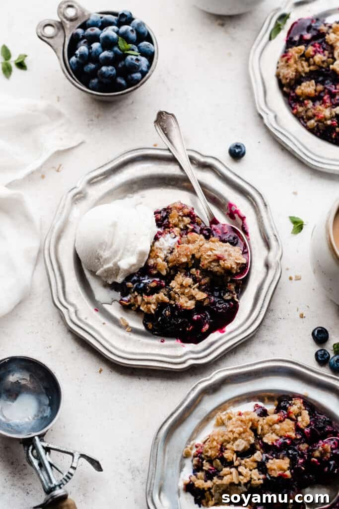 The Ultimate One-Bowl Blueberry Crisp 3 Plates of blueberry crisp topped with scoops of vanilla ice cream, showing a delectable serving suggestion.