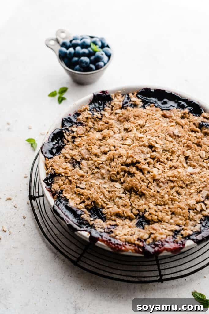 The Ultimate One-Bowl Blueberry Crisp 6 The baked blueberry crisp, golden and bubbly, fresh out of the oven.
