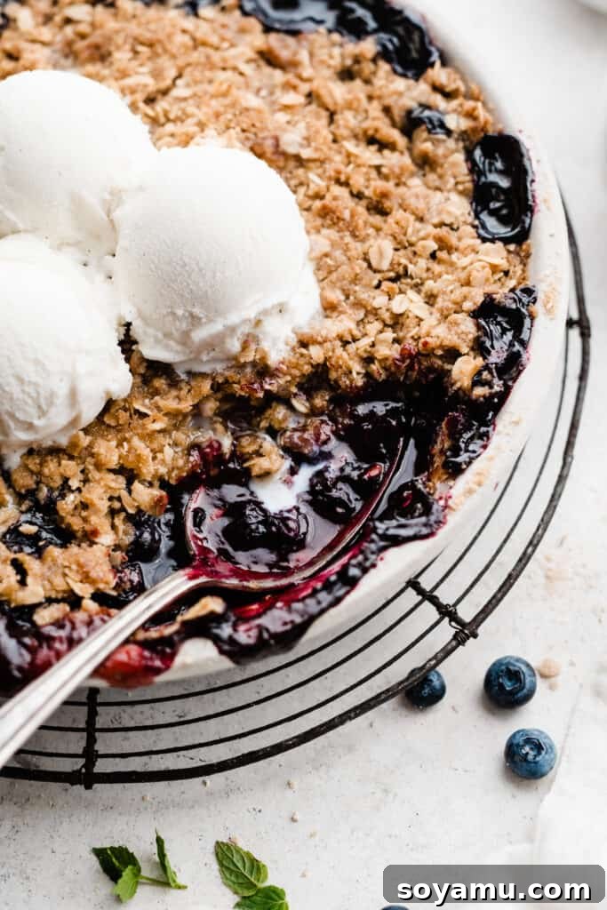 The Ultimate One-Bowl Blueberry Crisp 7 A close-up of a spoon scooping into the blueberry crisp, showing the juicy filling and crisp topping.